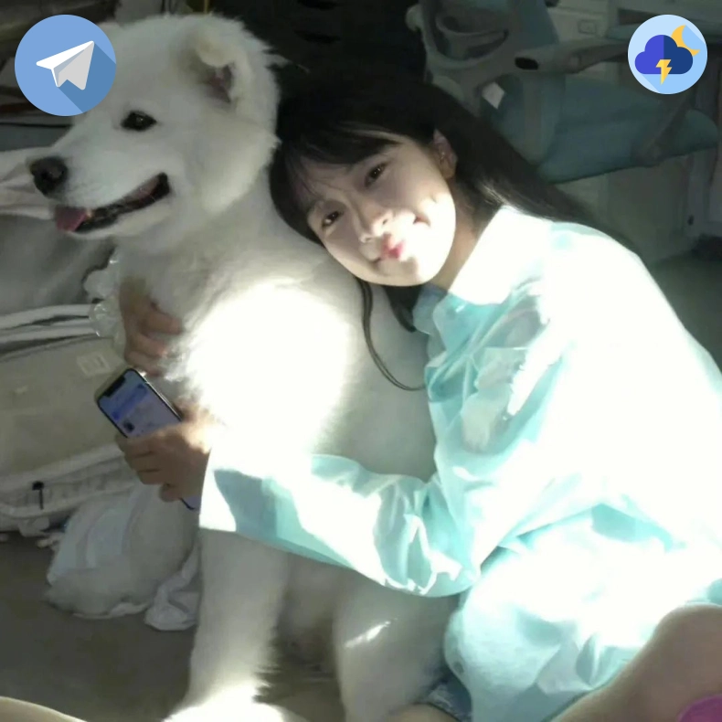 林女士
